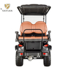 2 4 6 8 Seater Electric Golf Carts Utility Golf Vehicle Off Road Golf Buggy for Sale with Good Price
