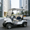 Yatian GQ02H 2-seater electric golf cart with cargo box on golf course, 48V5KW motor, 80km max range
