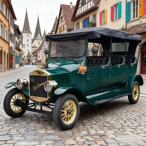 Green Vintage Electric Sightseeing Car for Countryside