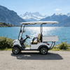 YATIAN GQ02Z 2 Seater 4×4 Electric Hunting Vehicle with Cargo Box – Off-Road Ready 