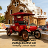 Customizable Color Vintage Electric Sightseeing Car - Perfect for Weddings, Resorts & Tourist Attractions