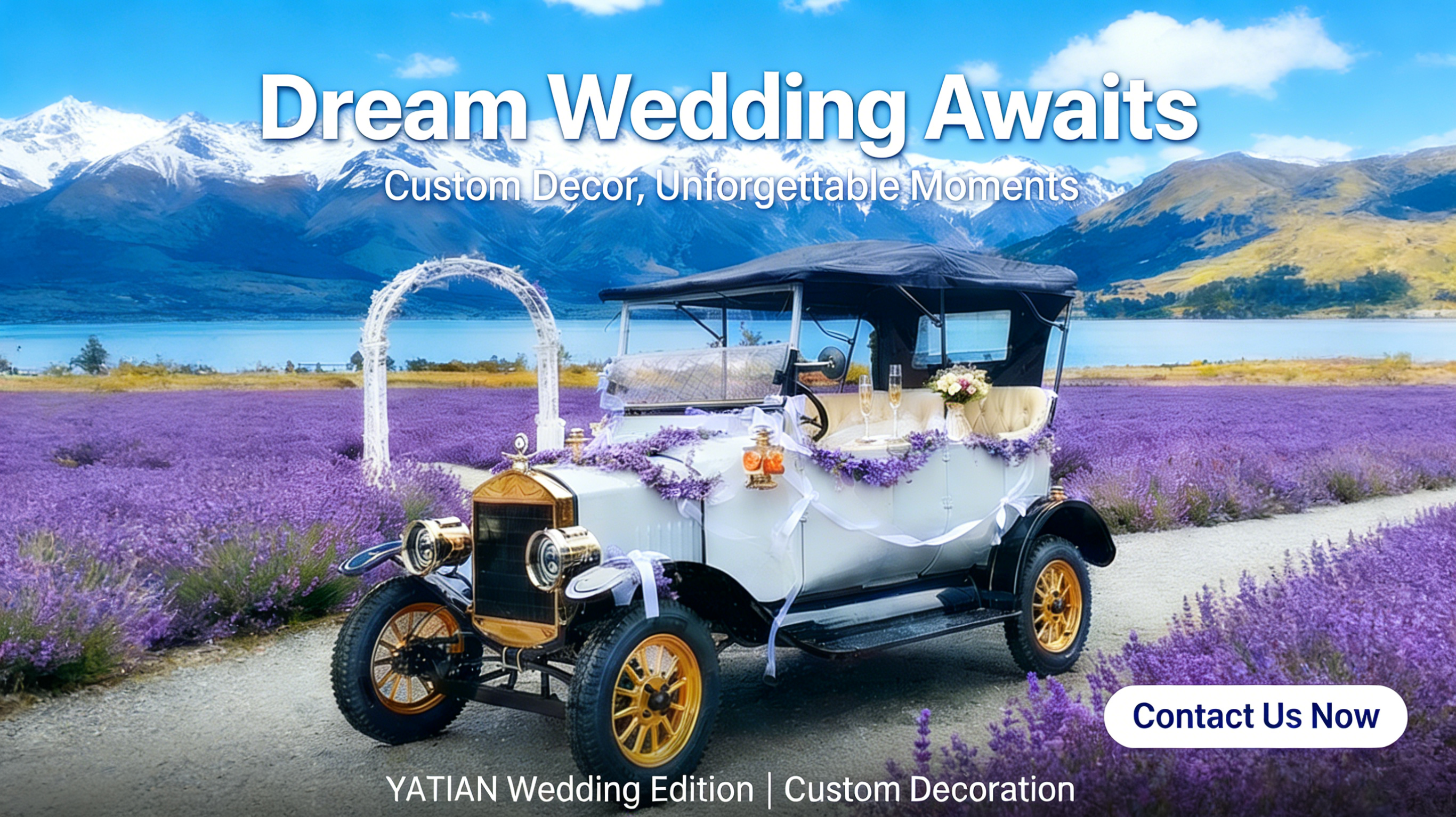 Classic Sightseeing Vehicles