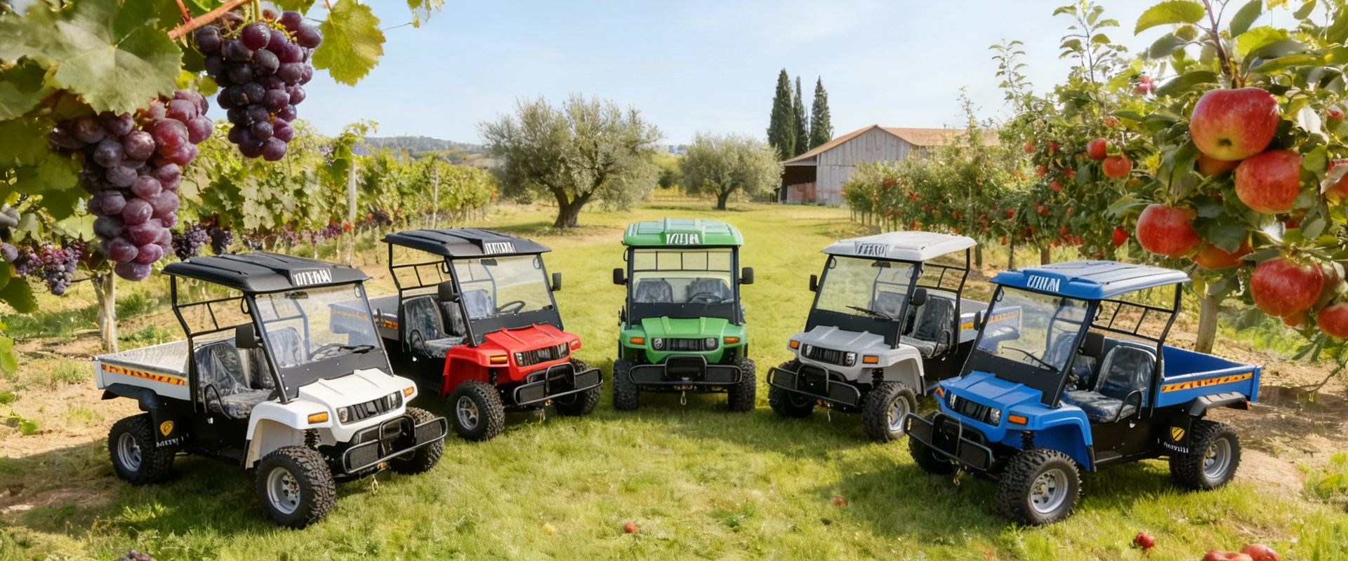 调整尺寸后的图片