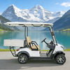 YATIAN GQ02Z 2 Seater 4×4 Electric Hunting Vehicle with Cargo Box – Off-Road Ready 