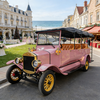 YATIAN LY11N 11-Seat Custom Pink & Gold Vintage Electric Car – Multi-Scene Profitable Sightseeing Shuttle