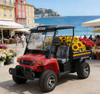 Red Electric Utility Vehicle