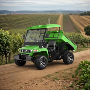 Multi-Purpose Electric Utility Vehicle