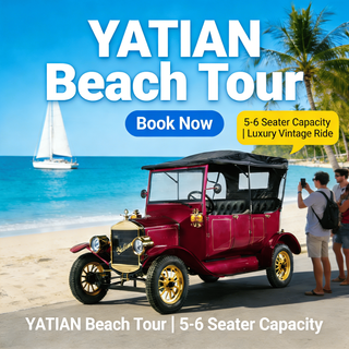 Yatian Manufacturer LY05N: The Perfect Choice for Weddings, Celebrations, And City Tours in A Vintage Classic Car